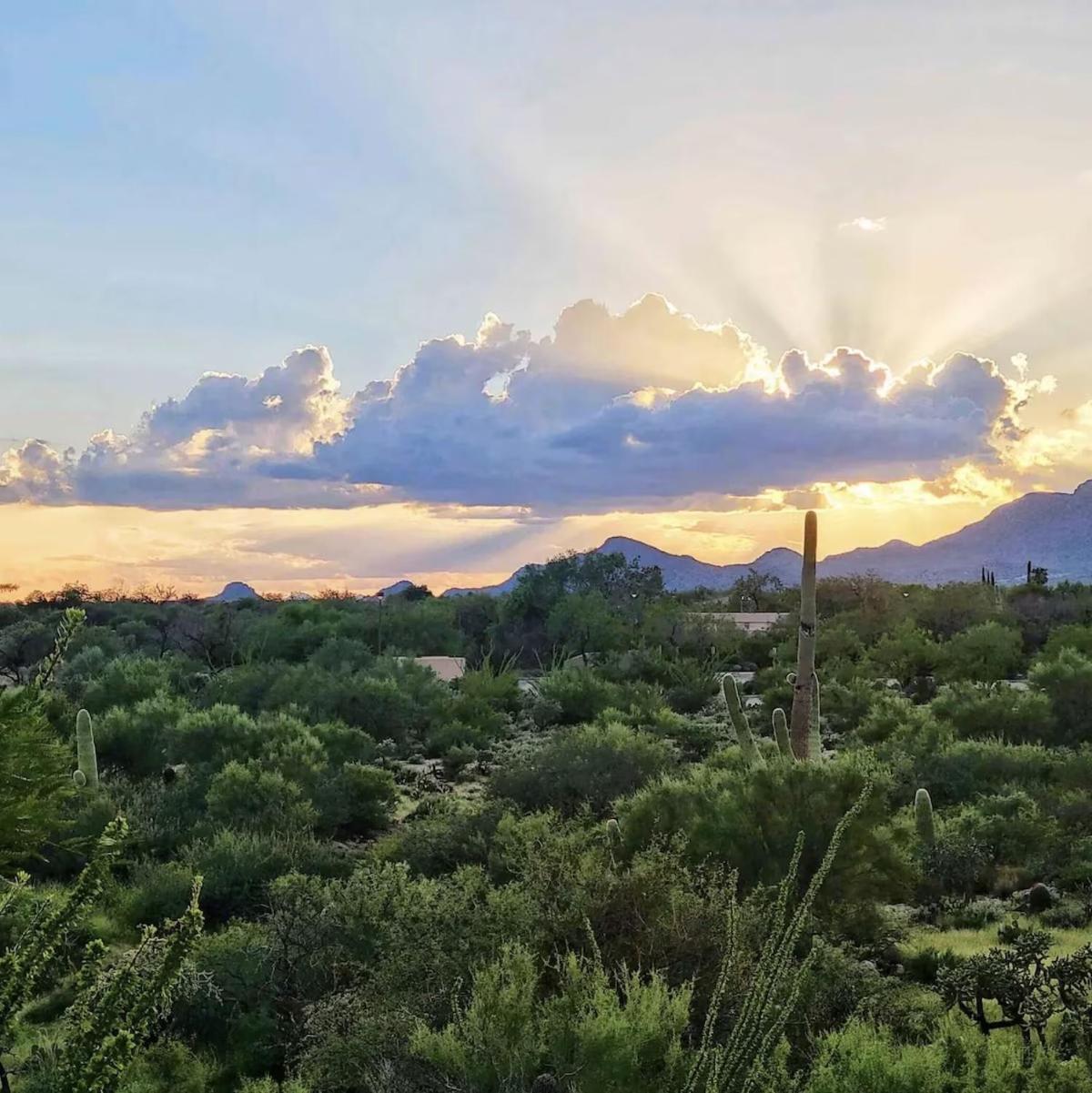 Luxury 3Bd 2Ba Home Near Tucson With Desert Views - Low Summer Rates! Oro Valley Exterior foto